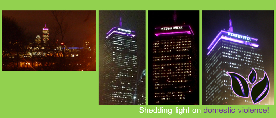 On December 5th, 2012, the Prudential Tower was lit up purple to honor RESPOND